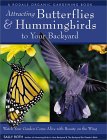 Attracting Hummingbirds and Butterflies